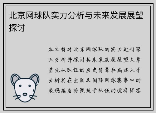 北京网球队实力分析与未来发展展望探讨