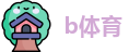 b体育sports